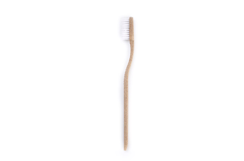 Wholesale Manufacturer Toothbrush